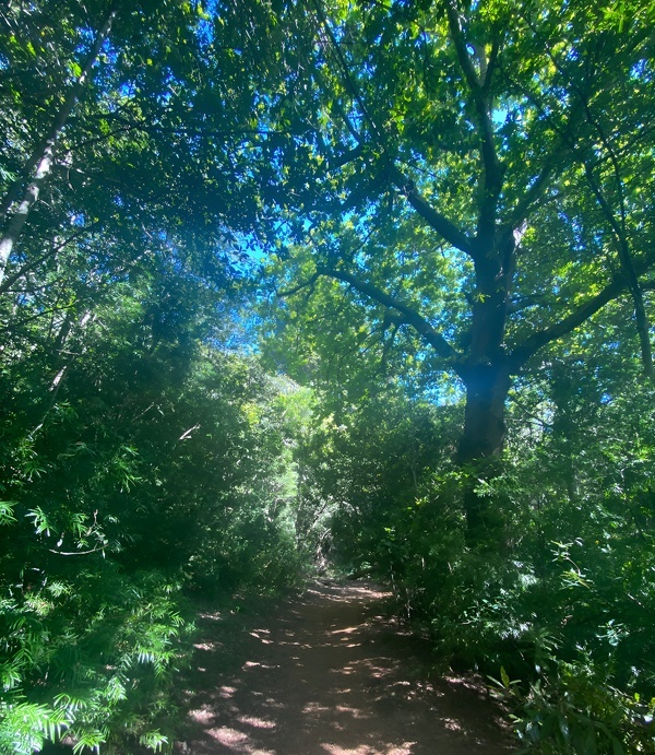 Leadership road less travelled (1) (1)