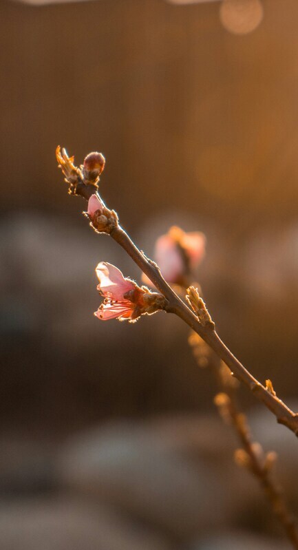 cole-freeman-zNTF4O1_MT8-unsplash (1) (1) (1)