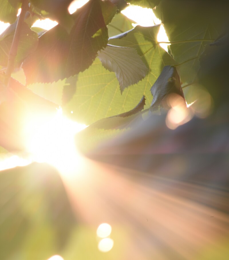 toufik-el-fachati-T19__iPV4hQ-unsplash (1) (1)